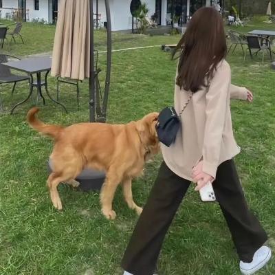 美国正义联盟