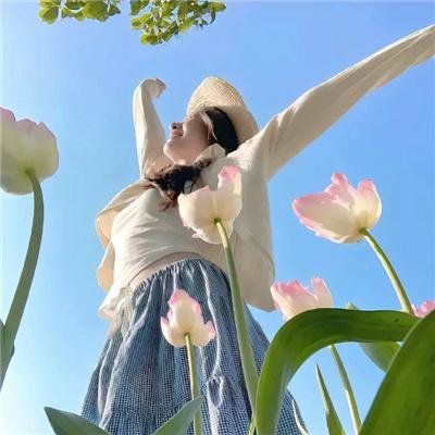 爆上战队奔奔者